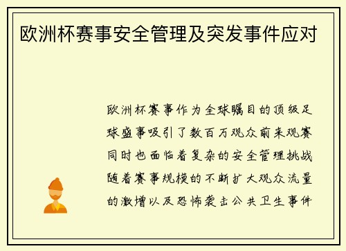 欧洲杯赛事安全管理及突发事件应对